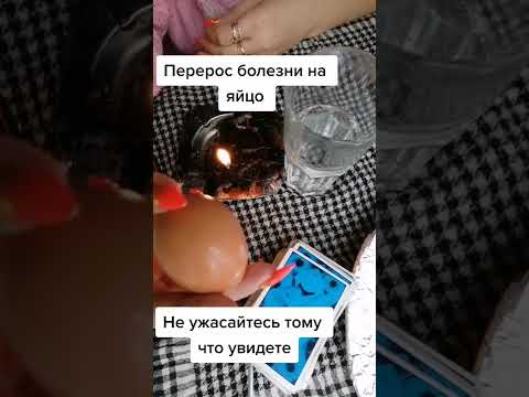 ПЕРЕБРОС БОЛЕЗНЕЙ НА ЯЙЦО