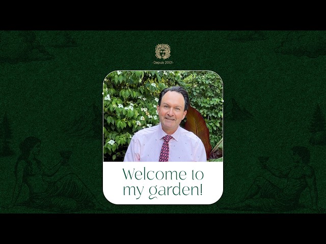 Welcome to my garden!