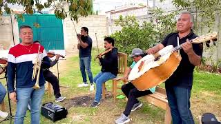 Popurrí de sones - Mariachi Alma Ranchera de la Ciudad de Puebla