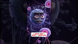 Virus Types Explained 😈 | Body Ke Andar Ka Attack (Hinglish Animation) #bodyvirus #healthbenifits