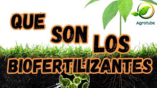 What Are Biofertilizers? Types, Uses, Applications, and Benefits for Organic Farming🌱 What Are Biofertilizers? Types, Uses, Applications, and Benefits for Organic Farming🌱