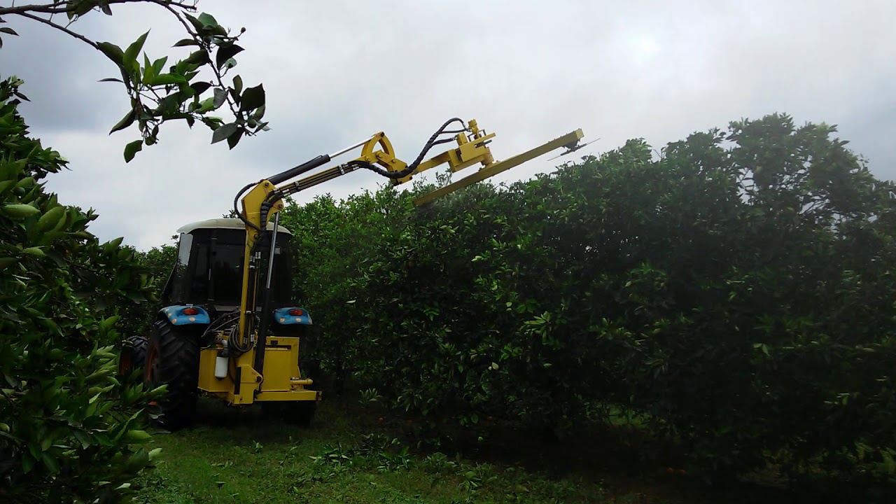 Podadeira lateral e topo  GTM AGRO(5)