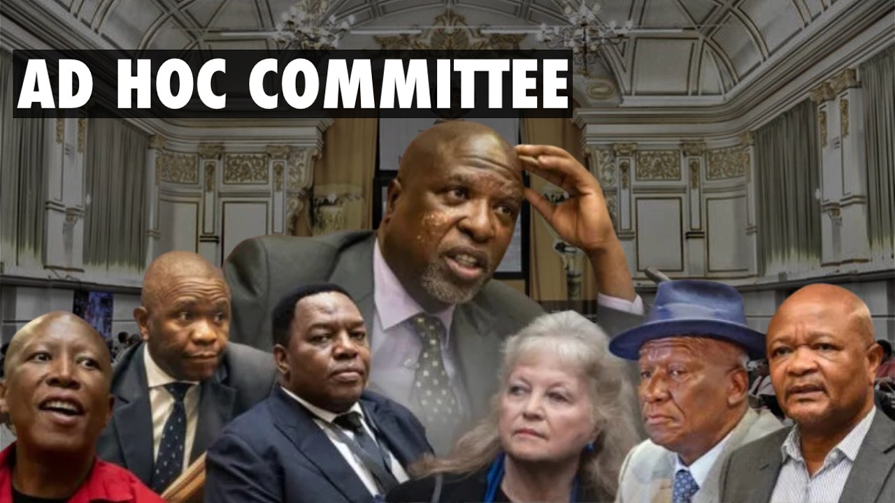 Ad Hoc Committee Continue With The New Witness