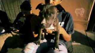 TURF FEINZ Telegraph Berkeley | YAK FILMS | Music by Häzel