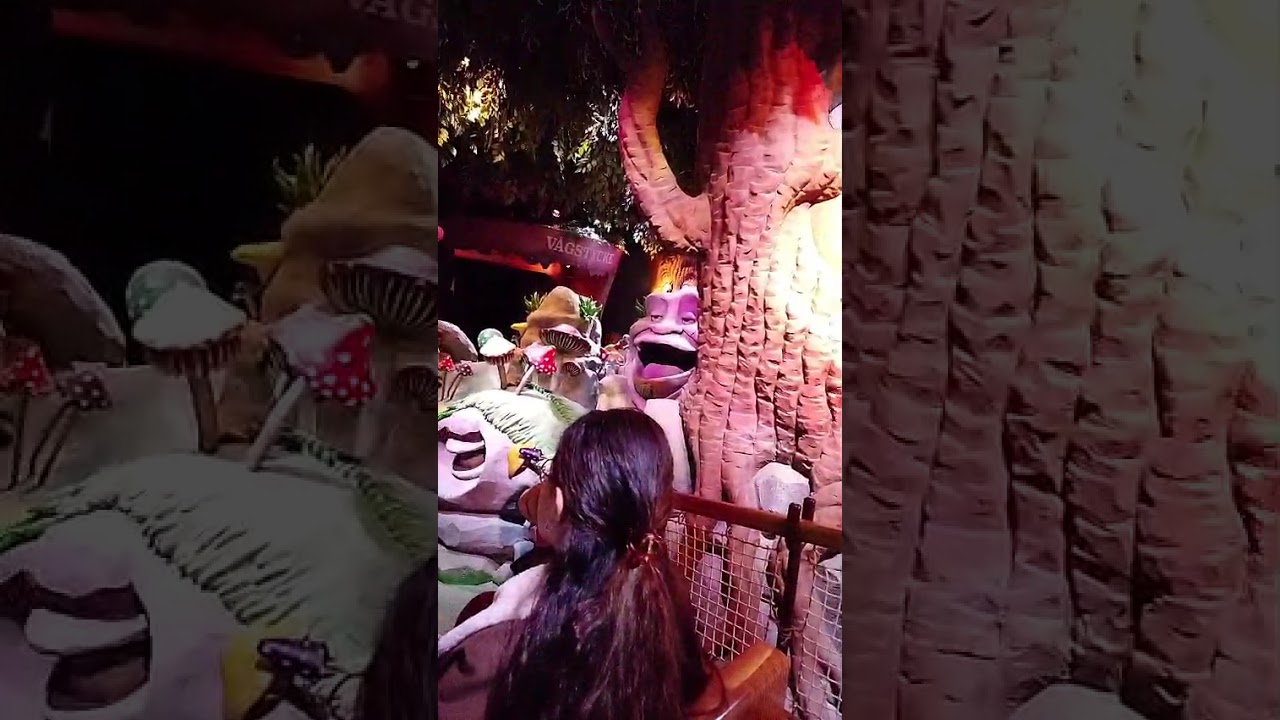 19 февраля 2026 г.