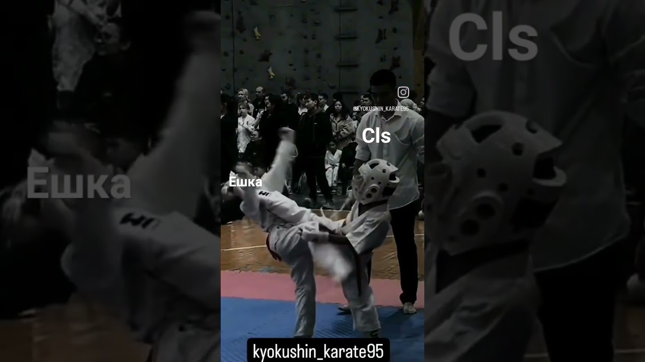 цлс венгалби 