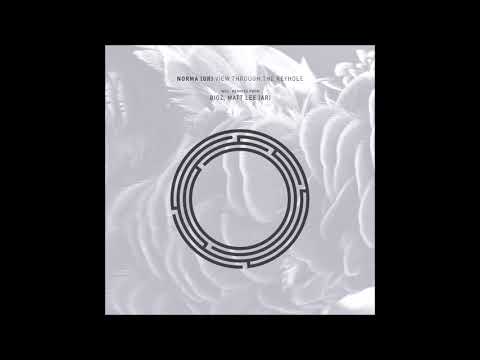 Смотреть «Norma (GR) - View Through The Keyhole (BiGz Remix)» на YouTube