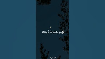يَسْمَعُ آيَاتِ اللَّهِ تُتْلَىٰ عَلَيْهِ || القارئ ياسر الدوسري || #المصحف #القران #لايك #اكسبلور