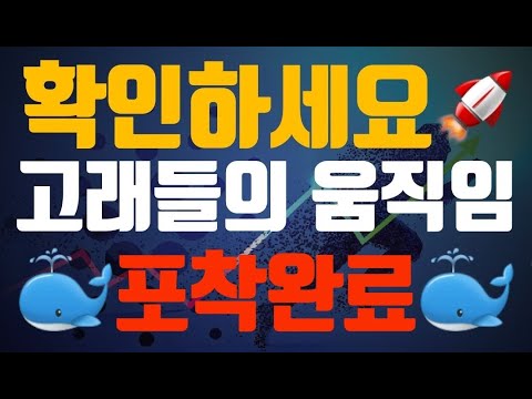   플랜준수 비트코인 고래들의 수상한 움직임 포착완료 객관적인 시장 방향성