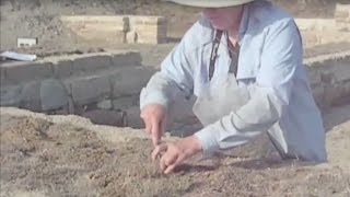 Vegetative Roof Capping at Gordion screenshot 3