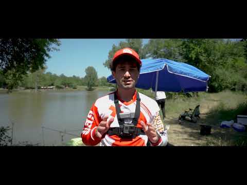 შესარჩევი კონკურსი თევზაობა N1Fishing თან