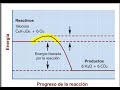 Enzimas (1): Centro activo, Factores enzimáticos y ATP - 2º Bachillerato