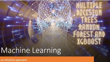Multiple Decision Trees | Random Forest | XGBoost | Tree Ensemble | decision tree