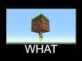 Wait What Minecraft Meme - part 179