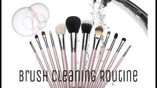 How to clean your makeup brushes|| quick, affordable, and squeaky
clean!