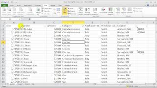 Excel 2010 for PC: Subtotals