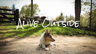 Meet Filson! The newest member of Alive Outside by Alive Outside 2,093 views 6 years ago 50 seconds