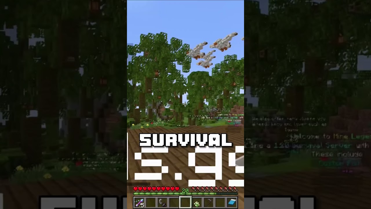 Have you played a Minecraft Towny Server?