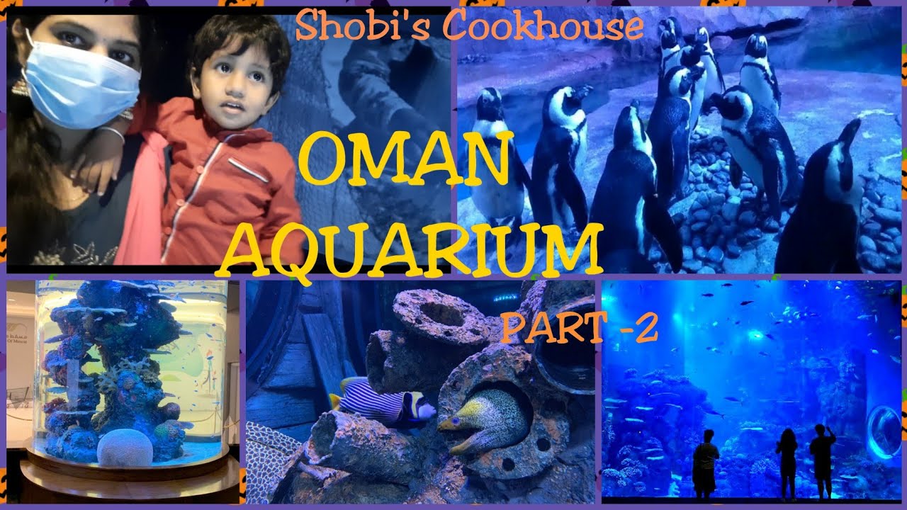 OMAN AQUARIUM TAMIL VLOG|OMAN AQUARIUM|TRAVEL VLOG TO OMAN AQUARIUM |MIDDLE EAST LARGEST AQUARIUM