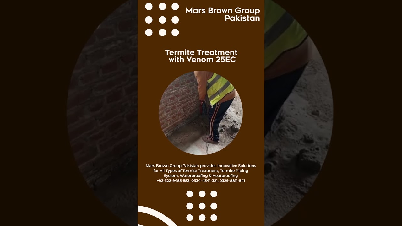 Eliminate Termite Risks Before It’s Too Late | Mars Brown Group Pakistan Official