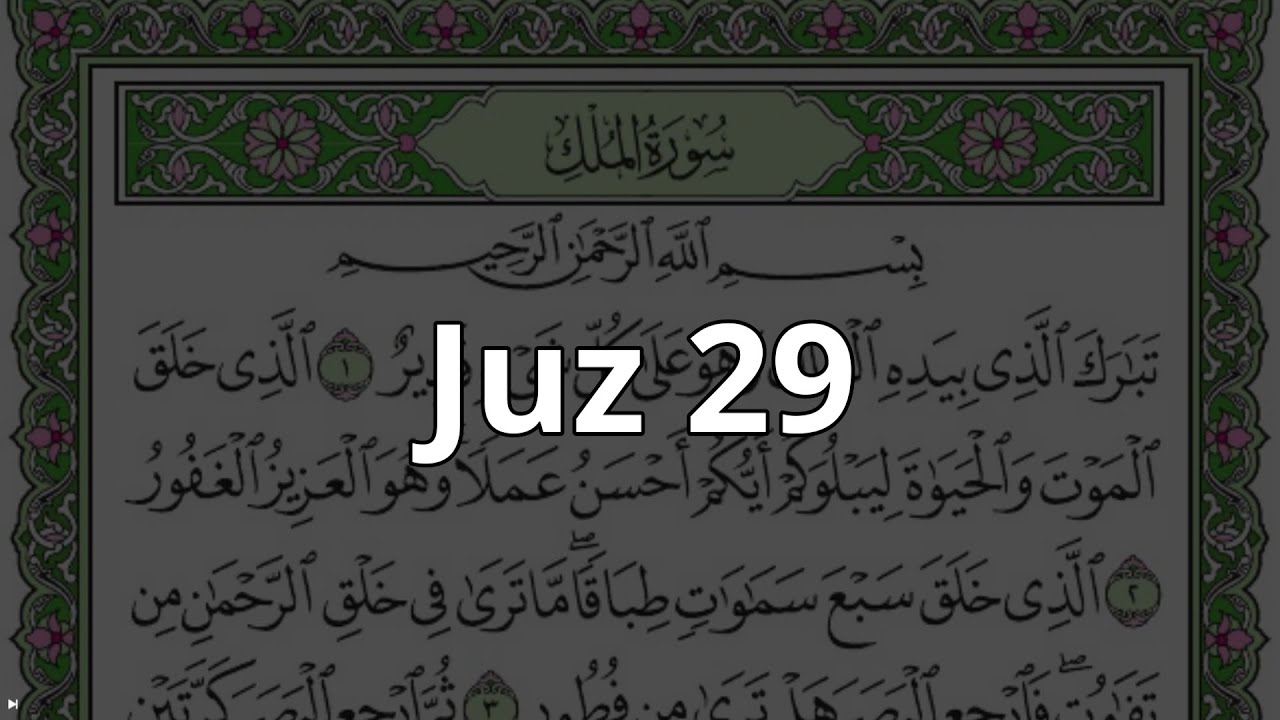 Holy Quran | Juz 29/جُزْءْ ٢٩ | Haitham Al-Dokhin | With HD Scrolling Text