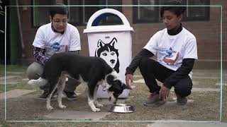 Dog Food Vending Machine by Binay & Bipul
