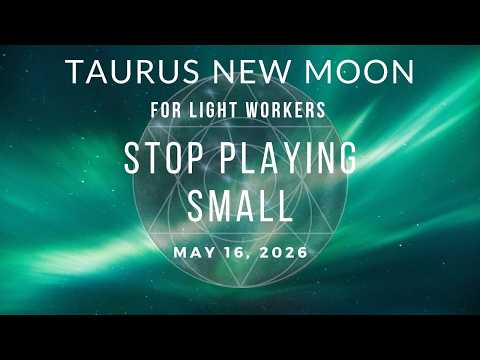 Bold Action is Rewarded | Taurus New Moon for LightWorkers