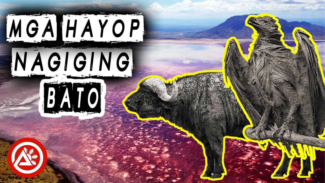 8 NAKAKAMANGHANG LUGAR SA MUNDO | AweRepublic