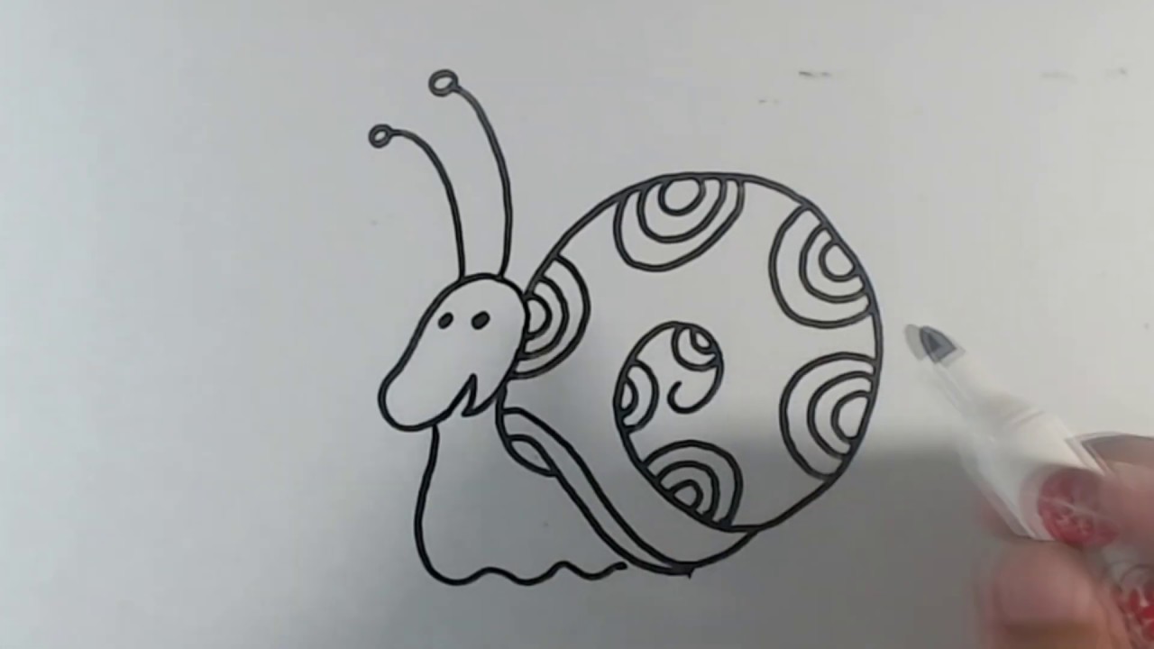 Cara menggambar  hewan  lucu siput kumbang capung  kupu 