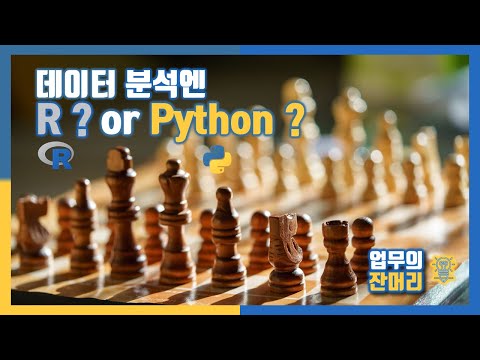 데이터 분석엔 R? or Python?