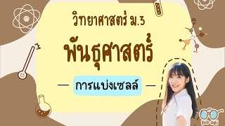 สรุป พันธุศาสตร์ ม.3 - การแบ่งเซลล์ | Bio-oei