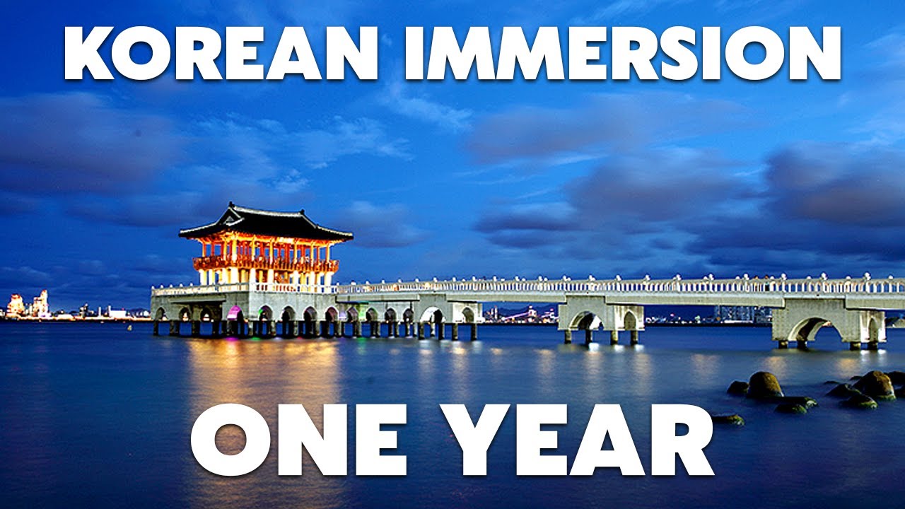 ONE YEAR of Learning Korean with Immersion Method