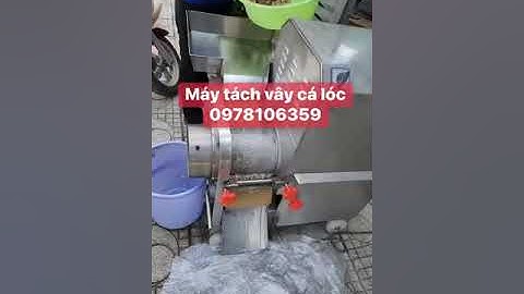 Máy tách vây cá, xương cá da cá, máy ép cá làm chả cá, máy lọc xương cá sông cá biển,máy ép cá Cr300