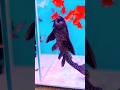 Ye Fish Tank Ko Rakhe Bilkul Clean Shakar Fish Ka Magic Dekho #ShakarFish #fishlover #Aquarium