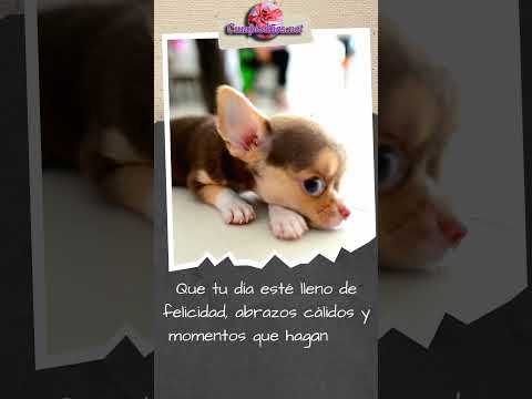 Miniatura de vídeo de cumpleaños  Amor Pareja, Emotiva, Animo Motivacion