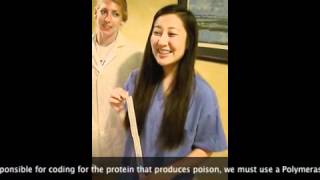 ap bio final project Hunger Games Genetic Engineering.m4v