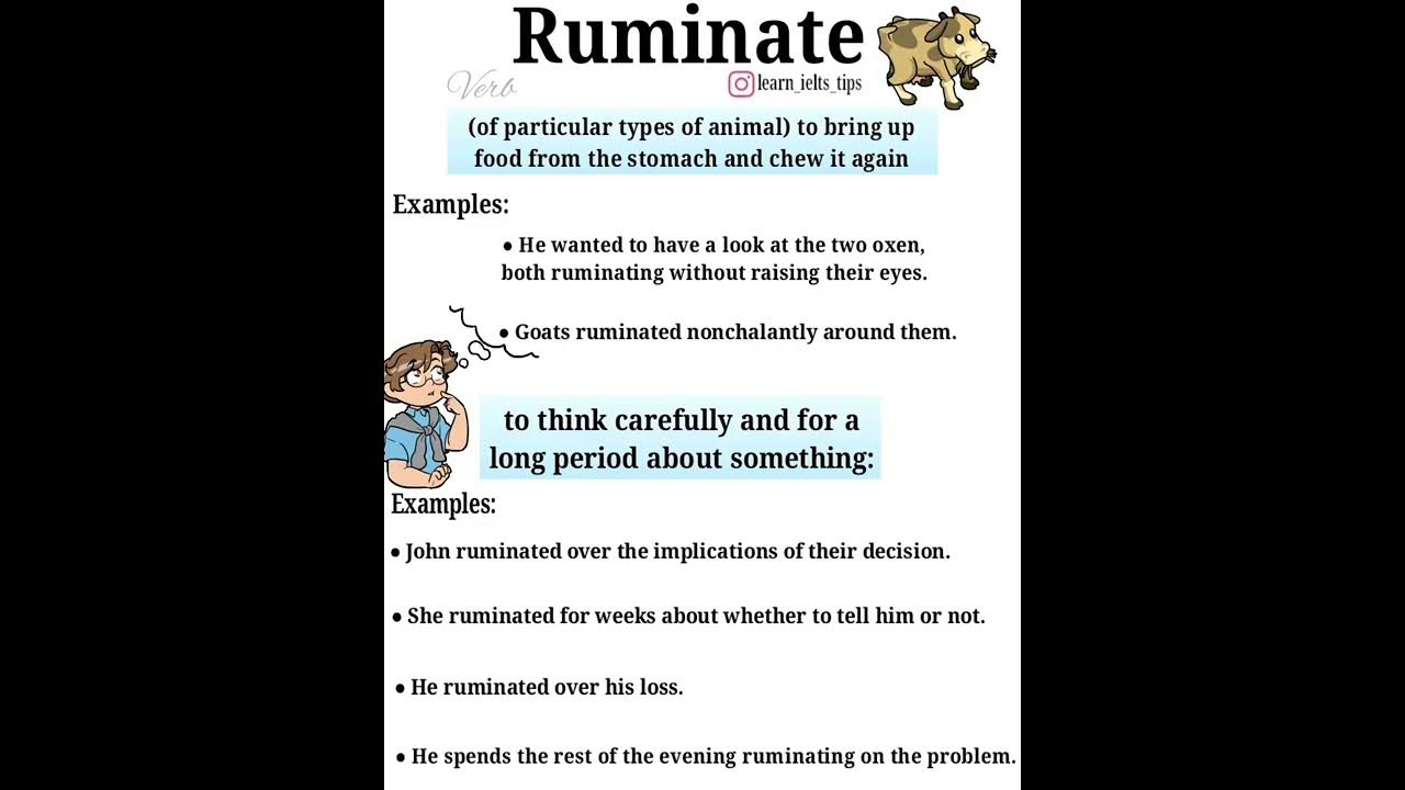 Word of the day 'Ruminate' with meaning & examples english 