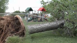 Gundersen Lutheran Storm Damage