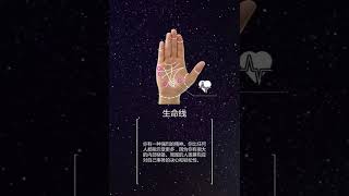 GA  purple 1280x1920 15s CN