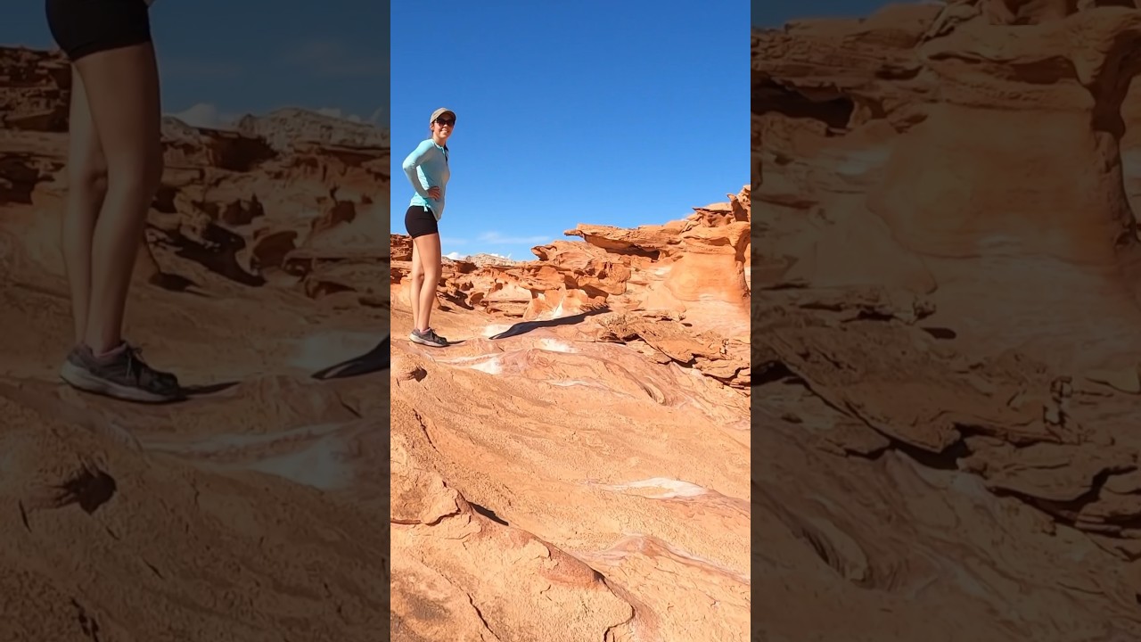 Really Cool Desert Landscape 
