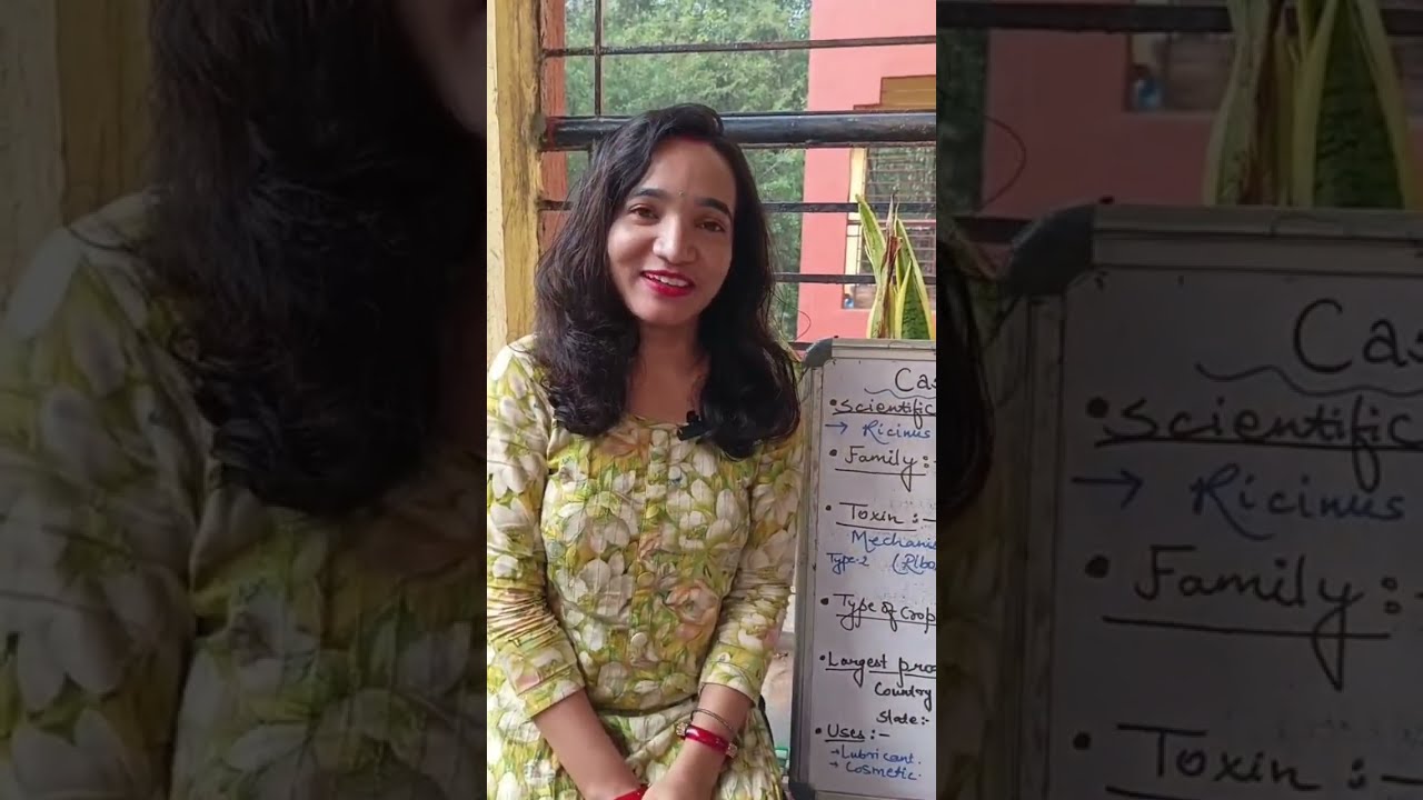 The important facts about castor plant 