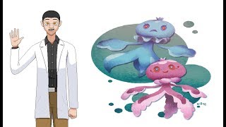 Pokémon Frillish Family Scientific Ysis