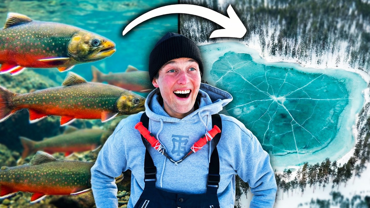 UTFOSKAR SMÅ SKOGSJÖAR - RÖDING & REGNBÅGE