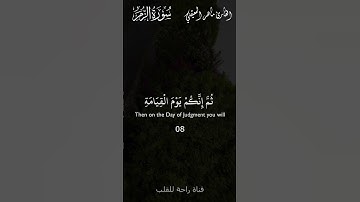 من سورة [الزمر] القارئ [ماهر المعيقلي] #قرآن  #قرآن_كريم  #القرآن_الكريم  #Quran