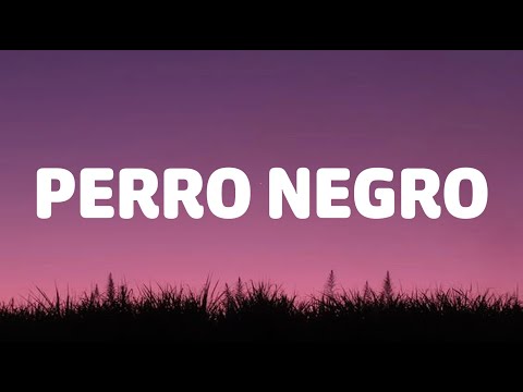 Bad Bunny x Feid - PERRO NEGRO (Letra/Lyrics)