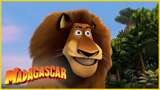 DreamWorks Madagascar en Español Latino | Alex descubre la naturaleza por primera vez | Madagascar