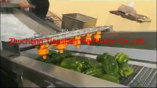 pepper washing machine, drying machine. Pepper processing Line