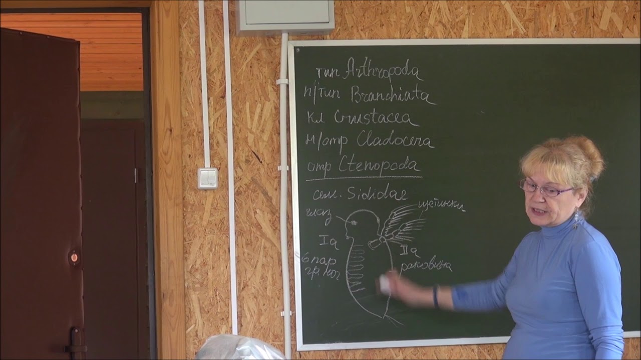 Биостанция МГУ 01 07 19 - YouTube