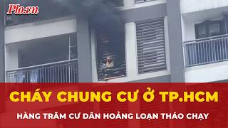 Báo Pháp Luật TP HCM