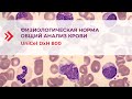 Физиологическая норма – ОАК UniCel DxH 800